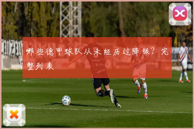 哪些德甲球队从未经历过降级？完整列表