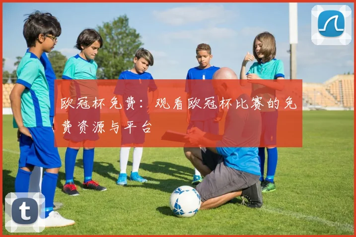 欧冠杯免费：观看欧冠杯比赛的免费资源与平台