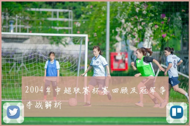 2004年中超联赛杯赛回顾及冠军争夺战解析