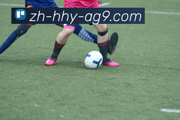 ag9游会平台生态图