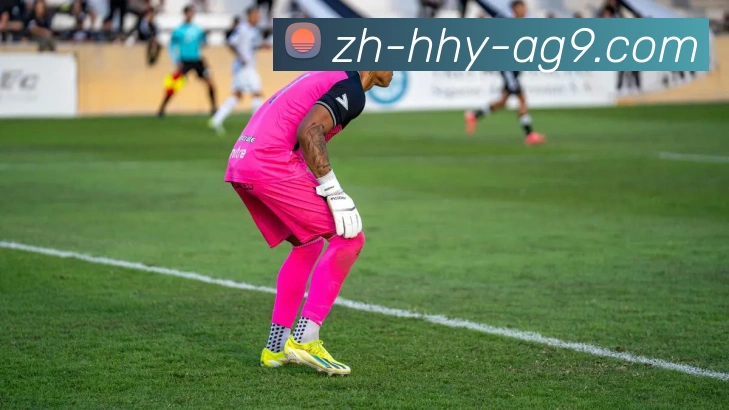 ag9游会APP 封面图